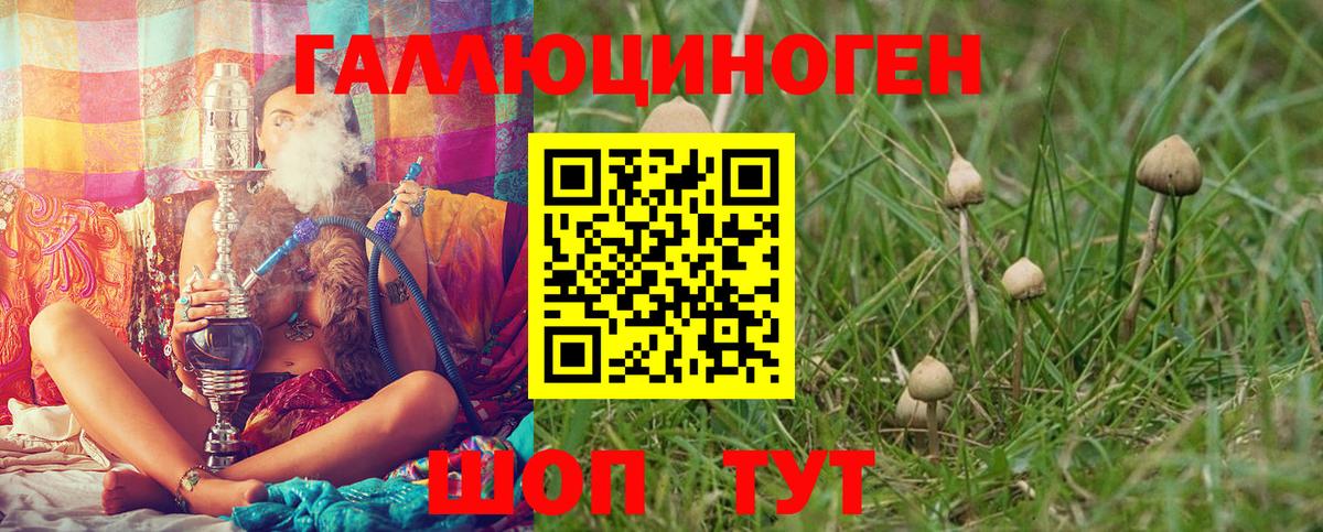 Галлюциногенные грибы Magic Shrooms Кудрово