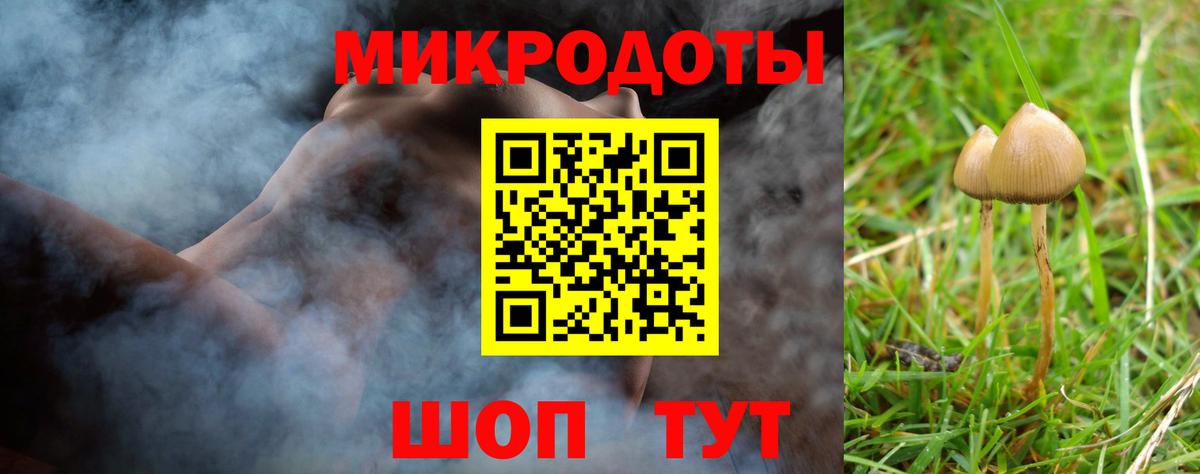 купить наркоту  Вход с VPN  Кудрово  Псилоцибиновые грибы GOLDEN TEACHER  Псилоцибиновые грибы Cubensis 