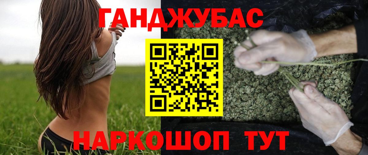 Кудрово  Конопля Ganja  Вход с VPN  Каннабис сатива  Конопля Bruce Banner 